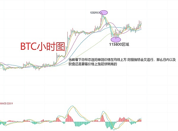 STORJ市场暗流涌动：揭秘那些掌握价格命脉的神秘大户