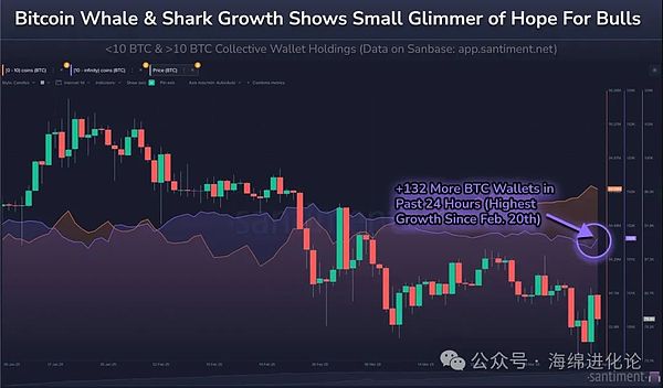 对话孙宇晨：波场TRON正在改写加密支付的游戏规则
