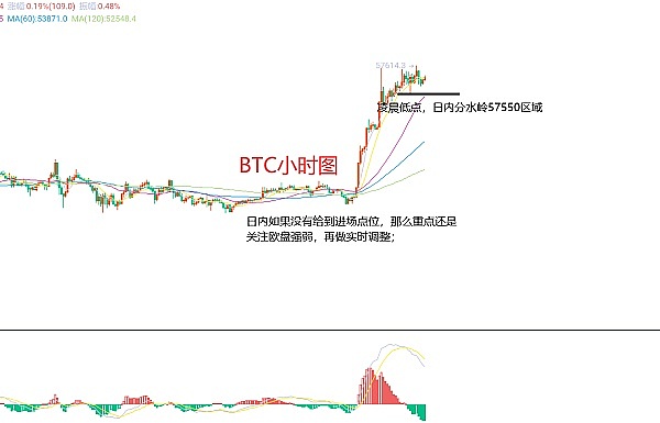 当团建变成最后的晚餐：波卡裁员风波背后的职场荒诞剧