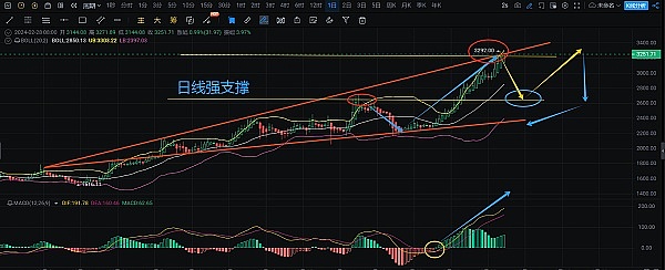 市场观察：数字货币短期反弹难掩下行压力
