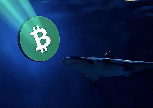 加密货币市场最新动态：比特币突破3.6万美金引发连锁反应