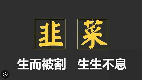 探访奶酪王国：一场关于财务智能化的实战课
