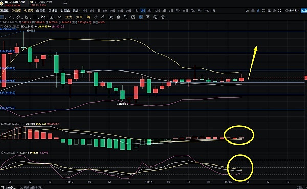 散户投资者的秘密武器：YouTube加密频道背后隐藏的财富密码