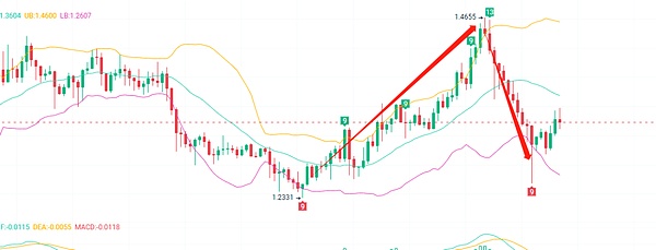 8亿美元灰飞烟灭！比特币上演血腥洗盘，狗狗币能否逆袭成新宠？